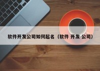 软件开发公司如何起名（软件 开发 公司）