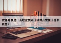 软件开发是什么职业类别（软件开发属于什么职务）