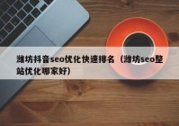 潍坊抖音seo优化快速排名（潍坊seo整站优化哪家好）