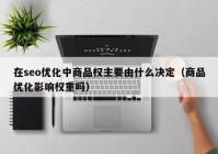 在seo优化中商品权主要由什么决定（商品优化影响权重吗）