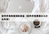 软件开发所用到的资金（软件开发费用计入什么科目）