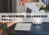 微信小程序开发的软件（微信小程序开发的软件是什么）