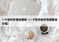 一个软件开发的费用（一个软件的开发需要多少钱）