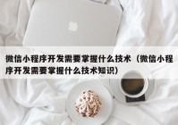 微信小程序开发需要掌握什么技术（微信小程序开发需要掌握什么技术知识）