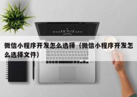 微信小程序开发怎么选择（微信小程序开发怎么选择文件）