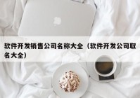 软件开发销售公司名称大全（软件开发公司取名大全）