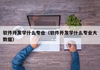 软件开发学什么专业（软件开发学什么专业大数据）